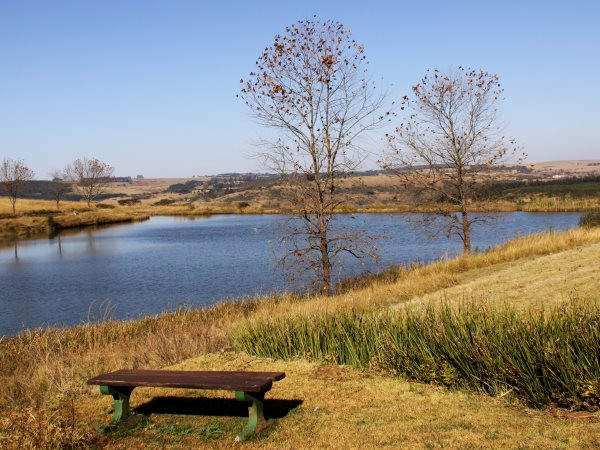 Bench_1