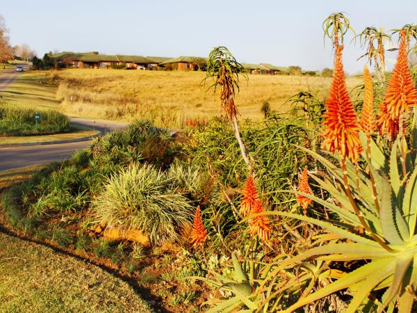 Circle_garden